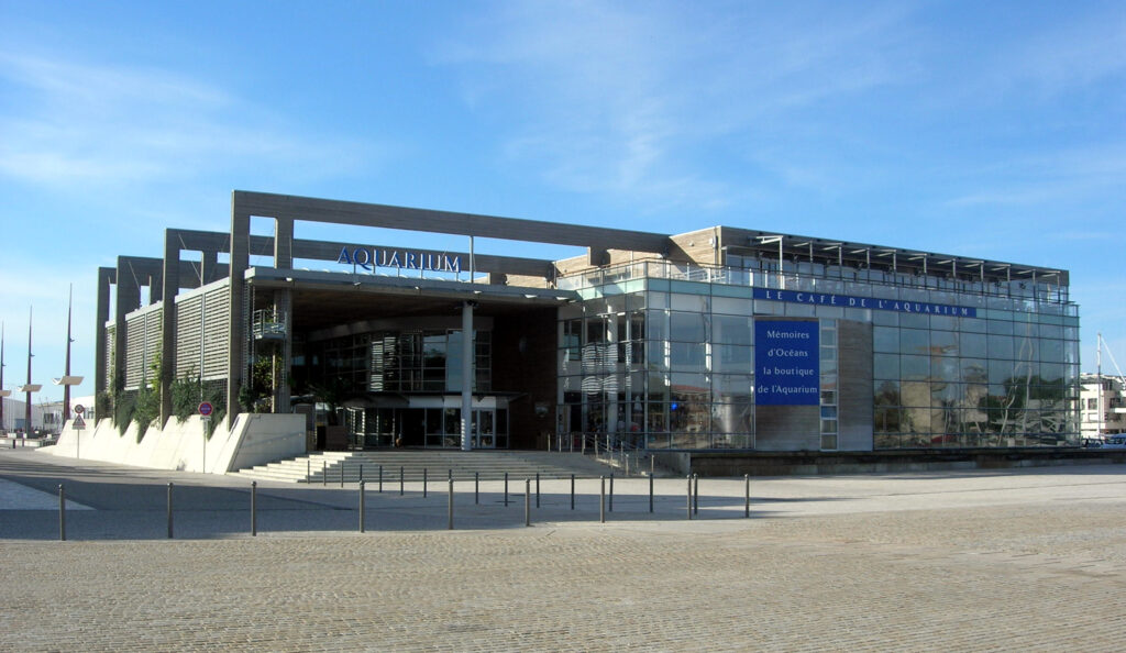 Visiter l'Aquarium de La Rochelle à proximité de notre hotel à La Rochelle